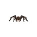 Schleich Harry Potter Aragog, Spielfigur