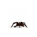 Schleich Harry Potter Aragog, Spielfigur