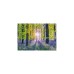 Schmidt Spiele Zarte Glockenblumen im Wald, Puzzle(1000 Teile)