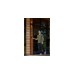 Senic Friends of Hue Outdoor Switch, Taster(schwarz)