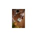 Senic Friends of Hue Smart Switch, Taster(weiß (matt))