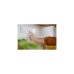 Senic Friends of Hue Smart Switch, Taster(weiß (matt), Dreierpack)