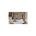Senic Friends of Hue Smart Switch, Taster(weiß (matt), Dreierpack)