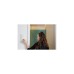 Senic Friends of Hue Smart Switch, Taster(weiß (glänzend))