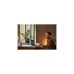 Senic Friends of Hue Smart Switch, Taster(weiß (glänzend))