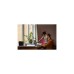 Senic Friends of Hue Smart Switch, Taster(weiß (glänzend))