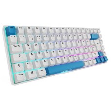 Sharkoon SKILLER SGK50 S3 PBT, Gaming-Tastatur(weiß/hellblau, DE-Layout, Gateron G Pro 3.0 Yellow)
