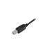 USB-B Stecker(schwarz, 1,0 Meter)