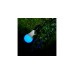 Shelly Duo RGBW 3er Pack, LED-Lampe