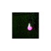 Shelly Duo RGBW 3er Pack, LED-Lampe