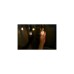Shelly Vintage A60, LED-Lampe(Filament)