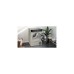 Siemens WQ46B2DX40 iQ700, Wärmepumpen-Kondensationstrockner(silber/inox, 60 cm, Home Connect)
