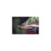 SizzleBrothers Butcher Paper, 10 Meter Rolle, Papier(61cm breit)
