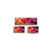 Sony BRAVIA XR XR75X95K, LED-Fernseher(189 cm (75 Zoll), schwarz, UltraHD/4K, Twin Tuner, HDMI 2.1, 100Hz Panel)
