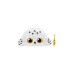 Spin Master Wizarding World & Purse Pets - Hedwig , Tasche(schwarz/gold)