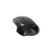 Targus Anti Microbial Ergonomic Blue Trace Maus(schwarz)