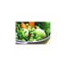 Tefal Schnellkochtopf Secure 5 Neo, P2530738(edelstahl/schwarz)