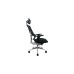 Thermaltake CyberChair E500, Gaming-Stuhl(schwarz/silber)