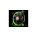 Thermaltake Riing 12 LED Green 3-Fan Pack, Gehäuselüfter(grün)
