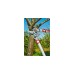 WOLF-Garten Amboss-Astschere Power Cut RS 650(rot/grau, 65cm)