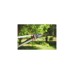 WOLF-Garten Amboss-Astschere Power Cut RS 800 V(rot/silber)