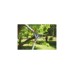 WOLF-Garten Amboss-Astschere Power Cut RS 800 V(rot/silber)