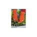 WOLF-Garten Beet-Handschuh 