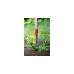 WOLF-Garten Distelstecher IW-M, multi-star, Unkrautstecher(rot/silber, 4cm)