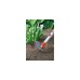 WOLF-Garten Doppelhacke IL-M 3, multi-star(rot/gelb, 8cm)