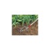 WOLF-Garten Gartenfräse DA-S, multi-star, Hacke(rot/gelb, 15cm)