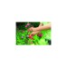 WOLF-Garten Gartenschere Basic Plus RR 1500(rot/gelb, 2-schneidig)