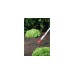 WOLF-Garten Kleinrechen DS-M 19, multi-star(rot/gelb, 19cm)