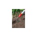 WOLF-Garten Lüfter BI-M, multi-star, Hacke(rot/gelb, 3,5cm)