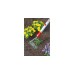 WOLF-Garten Ziehhacke HU-M 15, multi-star(rot/gelb, 15cm)