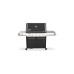 Weber Gasgrill Summit FS38 E, Black(schwarz/edelstahl, mit CRAFTED Basis-Rahmen und Sear Zone)