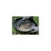 Weber Gourmet BBQ System Sear Grate 8834, Grillrost(schwarz, zum scharfen Anbraten, Outlet)