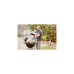 Weber Holzkohlegrill Master Touch GBS Premium E-5770(schwarz, Ø 57cm)