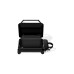 Weber SLATE GP Premium Plancha, 56cm, Gasgrill(schwarz)