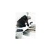 Wera Bit-Satz Bit-Check 30 Impaktor 1, 1/4