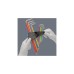 Wera Winkelschlüsselsatz 3967/9 TX SXL Multicolour HF Stainless 1, Schraubendreher(Edelstahl, mit Halteclip)