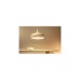 WiZ Colors LED-Lampe 18,5 W A80 E27(ersetzt 150 Watt)