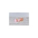 ZAPF Creation BABY born® Little Baby Girl 36cm, Puppe