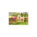 ZAPF Creation BABY born® My Cute Horse, Kuscheltier