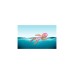 ZAPF Creation BABY born® My First Swim Girl 30cm, Puppe