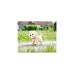 ZAPF Creation BABY born® My Lucky Dog, Kuscheltier