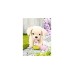 ZAPF Creation BABY born® My Lucky Dog, Kuscheltier