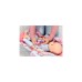 ZAPF Creation Baby Annabell® Active Babyschale, Puppenmöbel