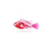 ZURU Robo Alive Robo Fish, Spielfigur(sortierter Artikel, eine Figur)