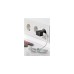 goobay USB-C Dual Ladeset 2,4 A, Ladegerät(schwarz)