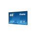 iiyama ProLite LH6554UHS-B1AG, Public Display(schwarz (matt), UltraHD/4K, IPS, Lautsprecher)